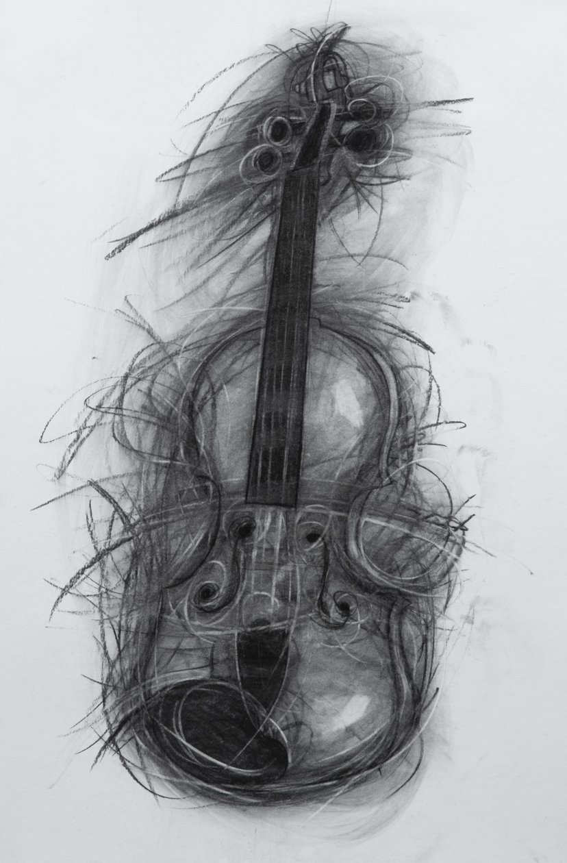 Viulu, 2005 (hiili paperille) tekijältä Penny Warden
