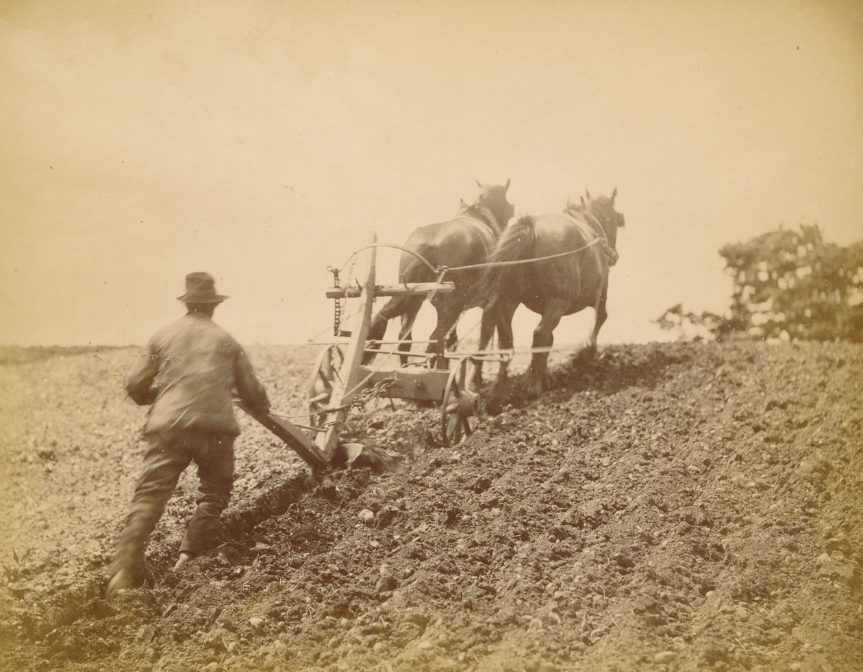 Jäykkä veto tekijältä Peter Henry Emerson
