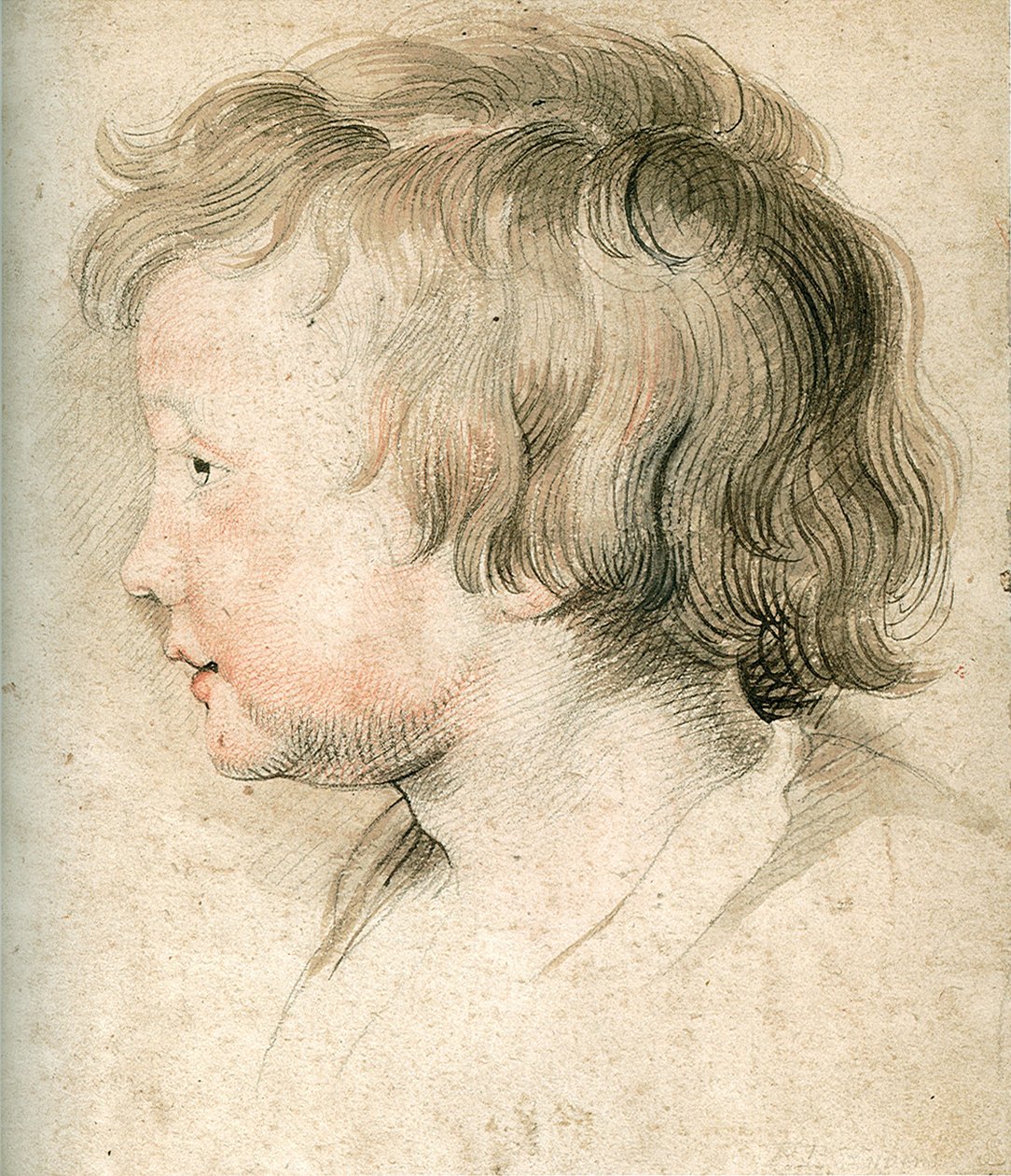 Albert Rubens tekijältä Peter Paul Rubens