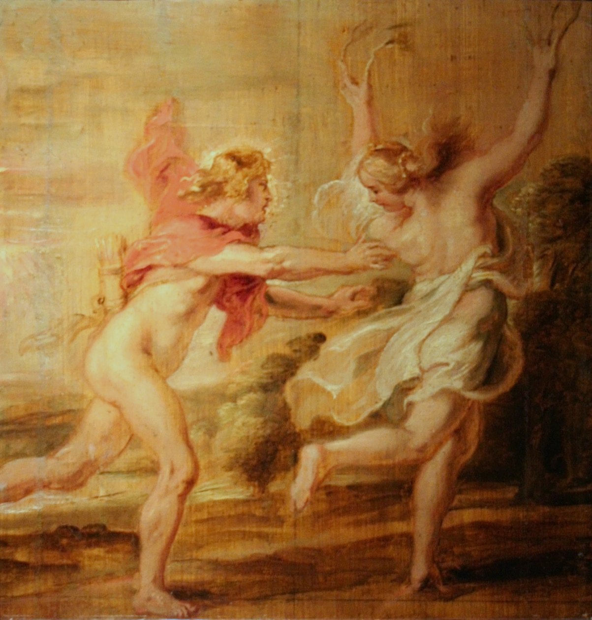 Apollon ja Daphné tekijältä Peter Paul Rubens