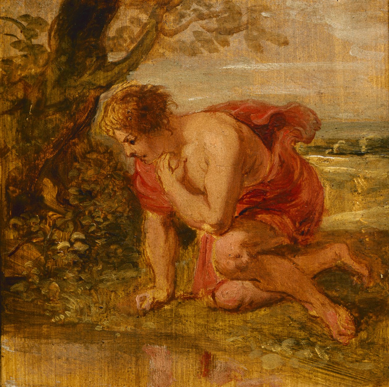 Narsissi tekijältä Peter Paul Rubens