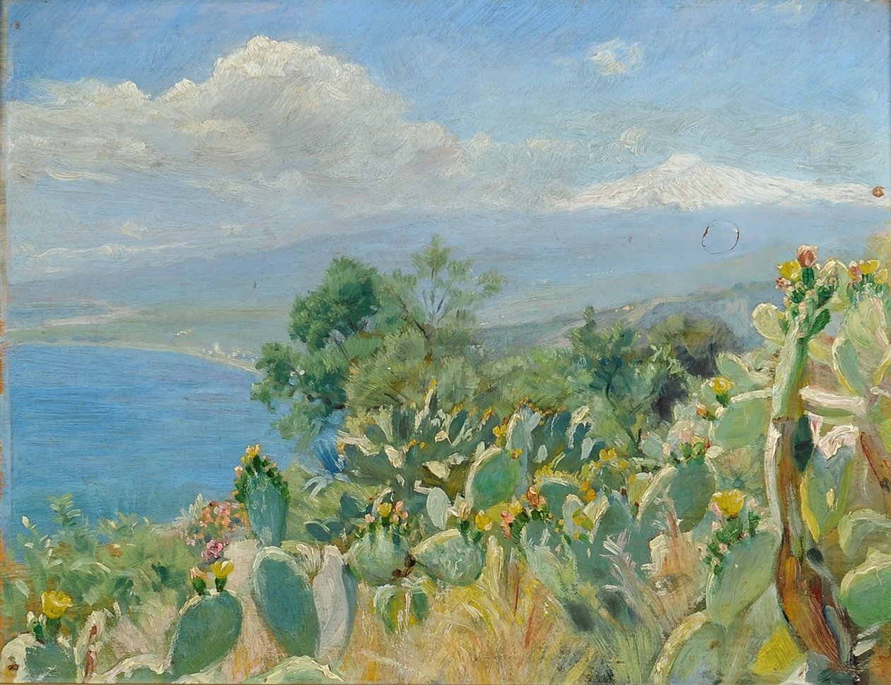 Kukoistavia kaktuksia Toarminan lähellä tekijältä Peder Severin Krøyer