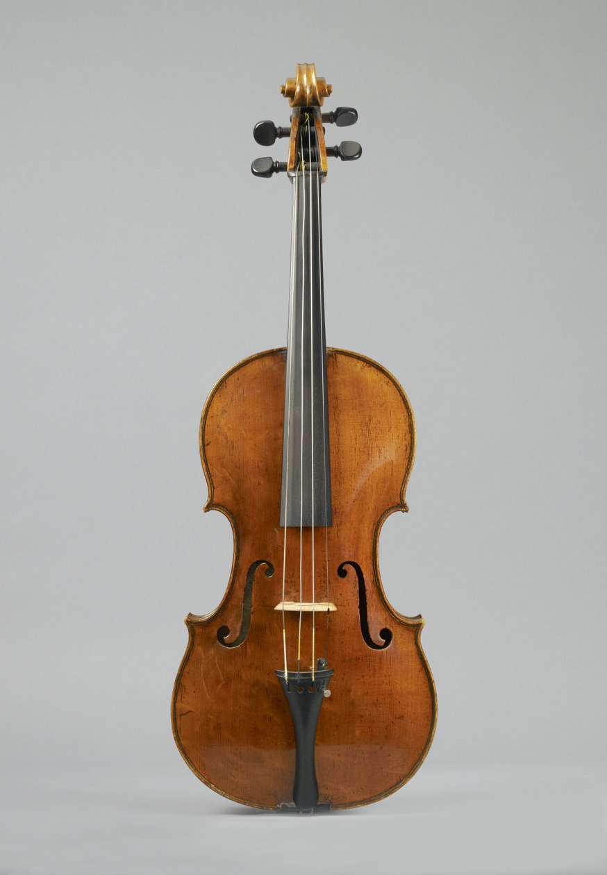 Viola, 1740 (puu) tekijältä Peter Wamsley