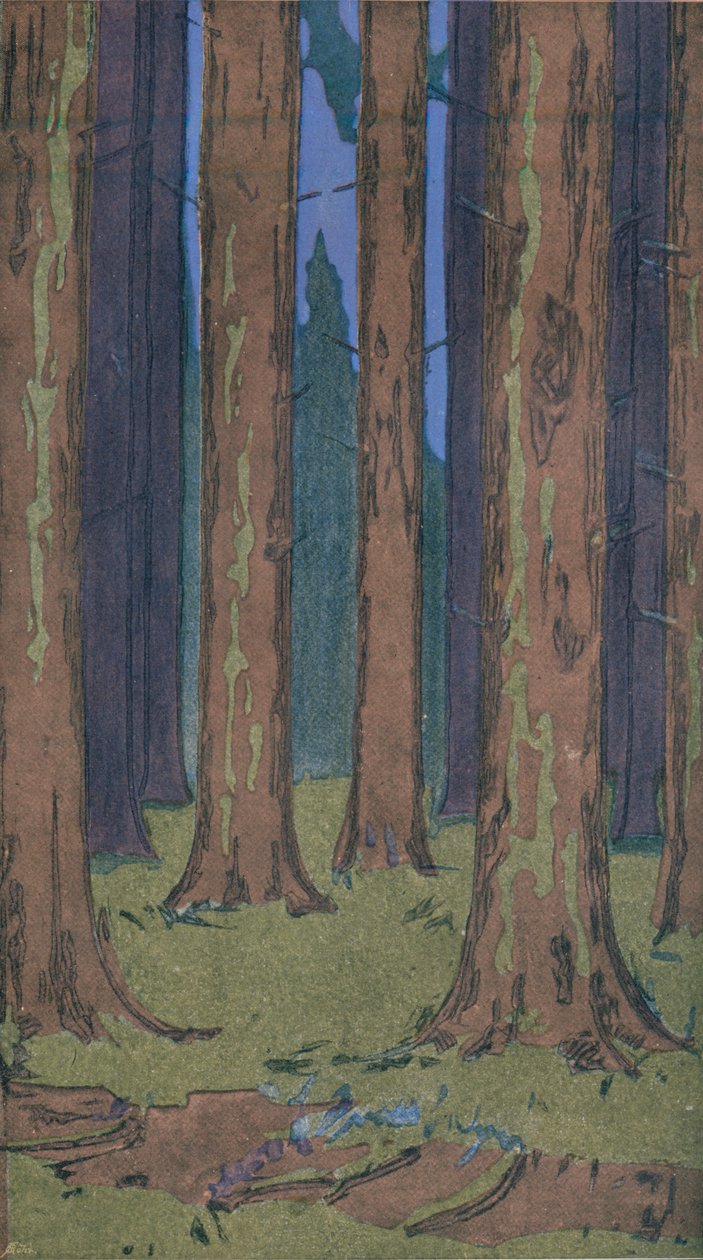 Metsä, 1901 tekijältä Peter Behrens