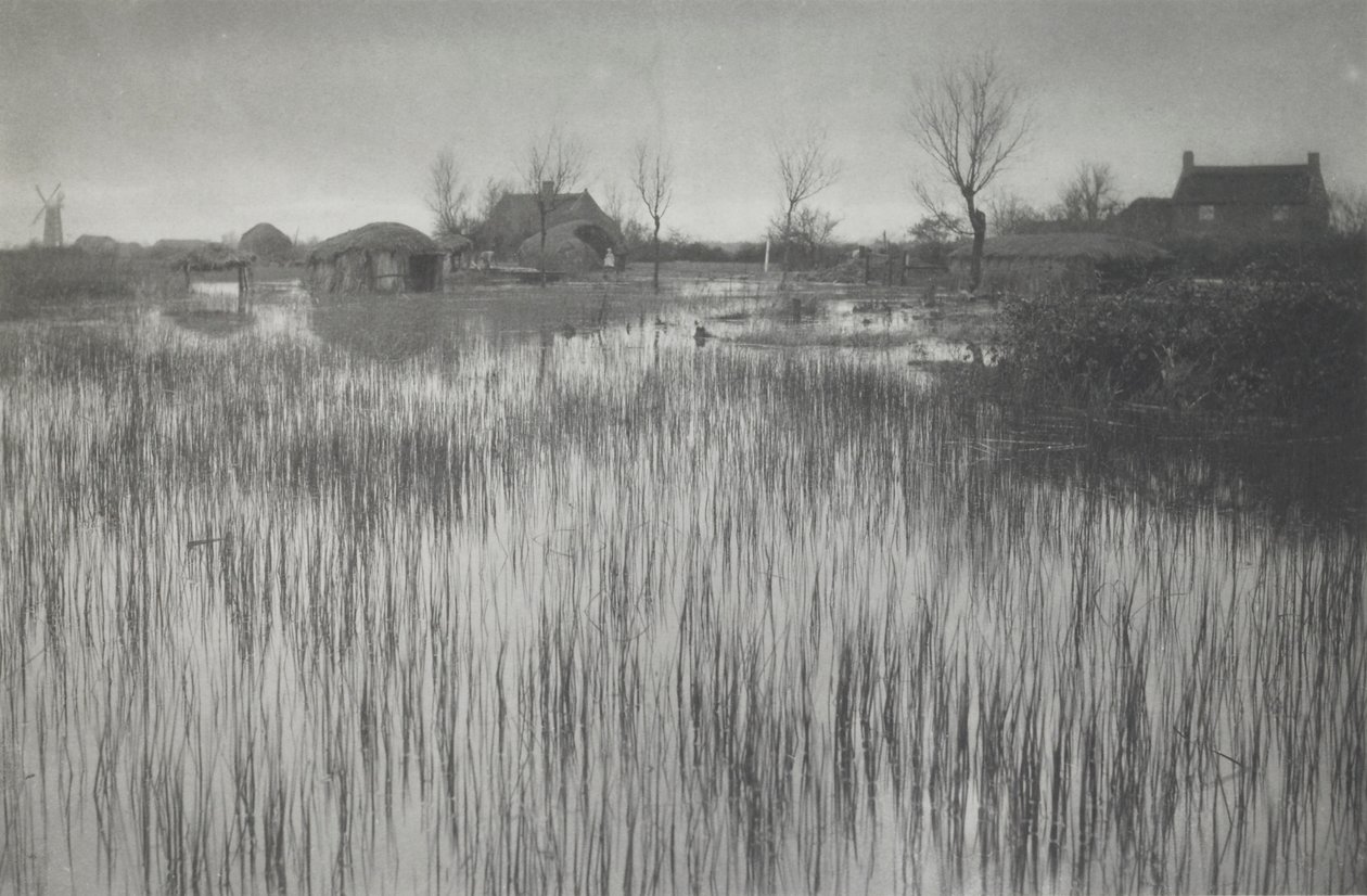 Kiireinen ranta tekijältä Peter Henry Emerson