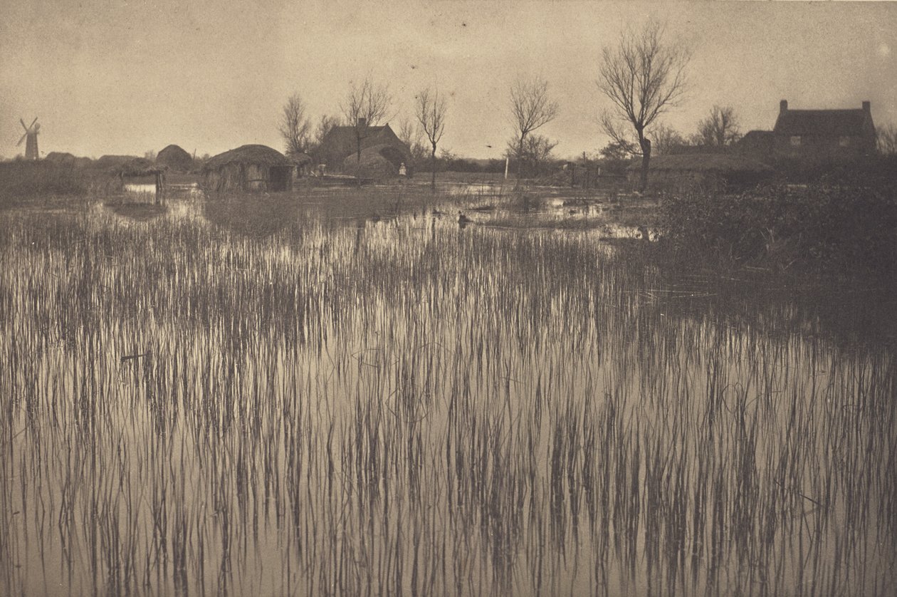 A Rushy Shore tekijältä Peter Henry Emerson