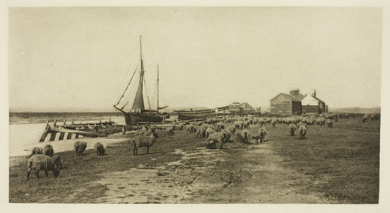 Blackshore, Blythe-joki (Suffolk) tekijältä Peter Henry Emerson