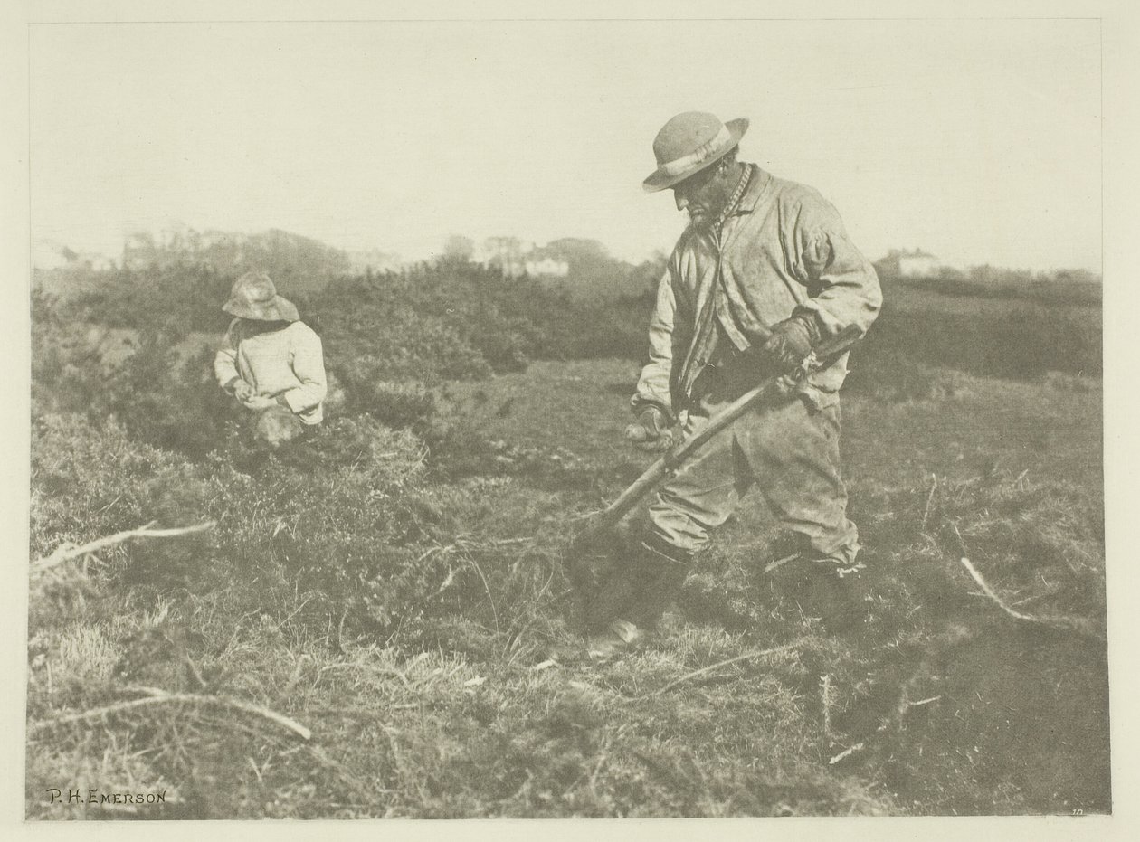 Furze-leikkaus Suffolk Commonissa tekijältä Peter Henry Emerson