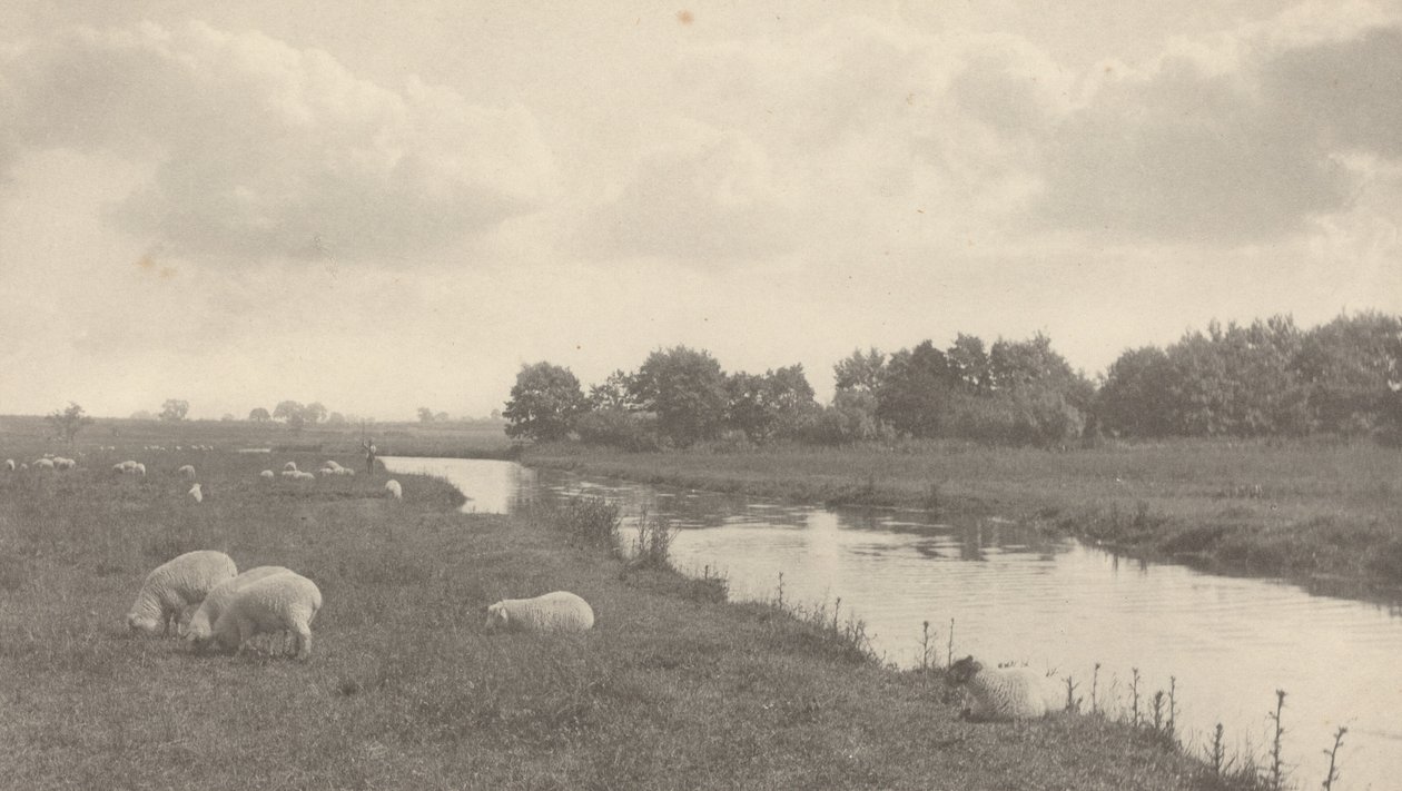 Bure-joella tekijältä Peter Henry Emerson