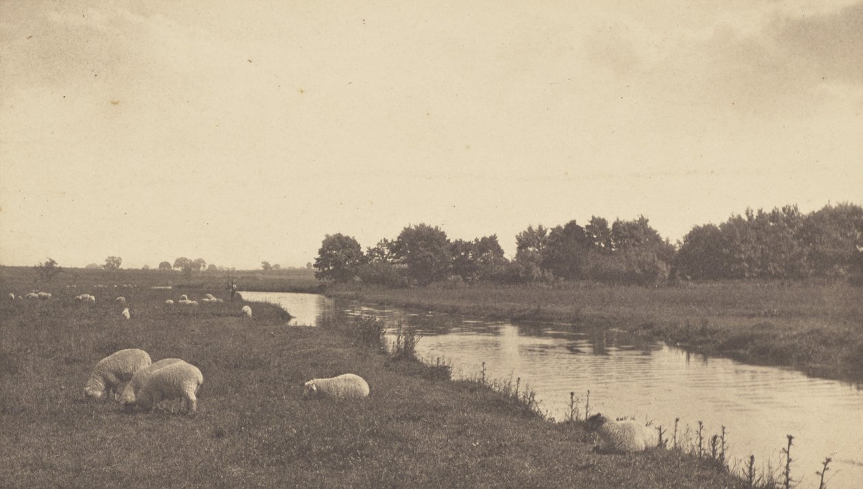 Bure-joella tekijältä Peter Henry Emerson