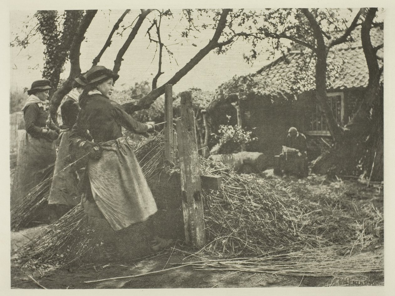 Osier-Peling (Norfolk) tekijältä Peter Henry Emerson