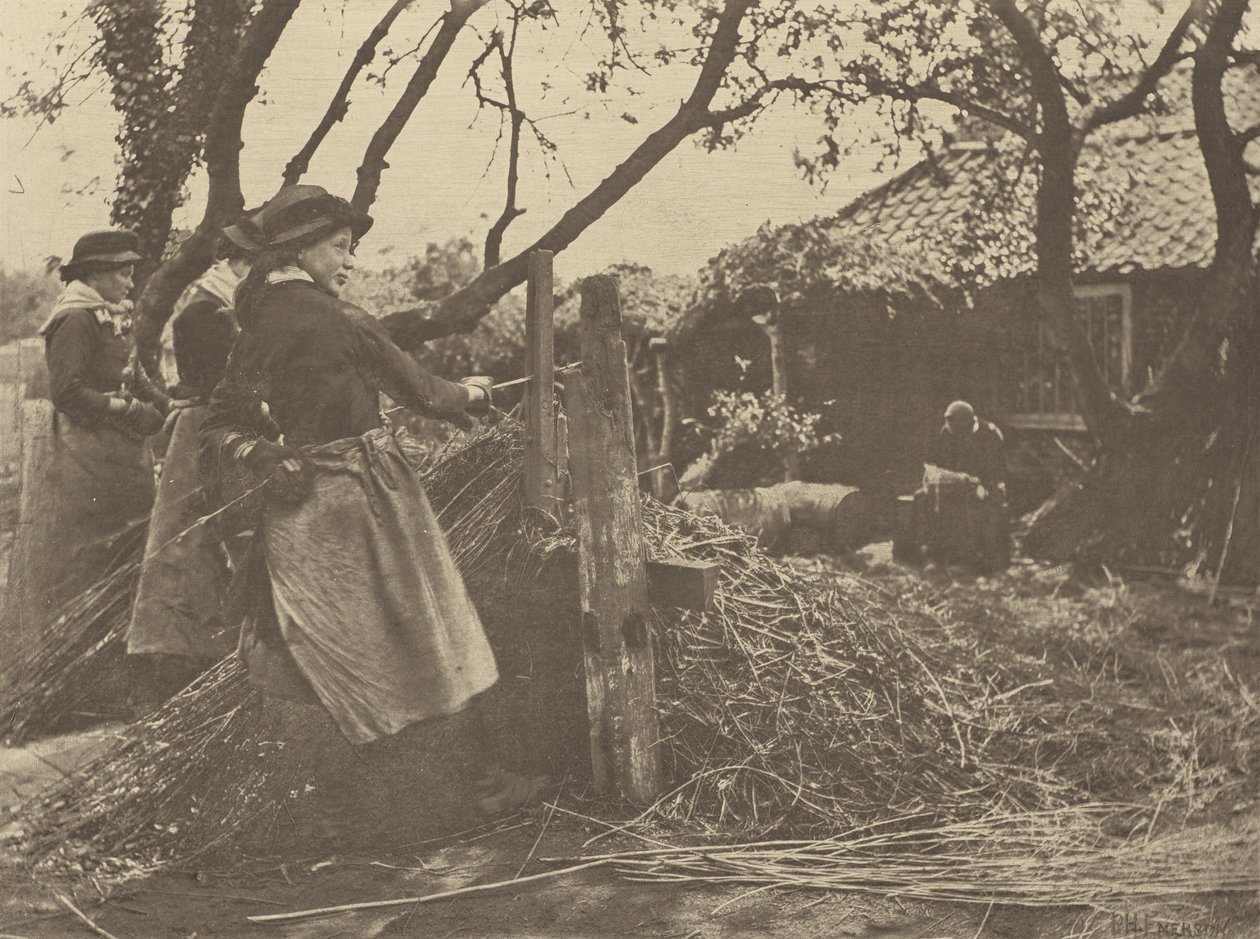 OsierPeeling. [Norfolk]]. tekijältä Peter Henry Emerson