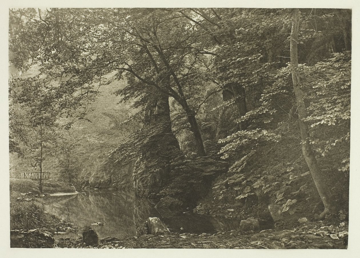 "Pike Pool" (alhaalta) tekijältä Peter Henry Emerson