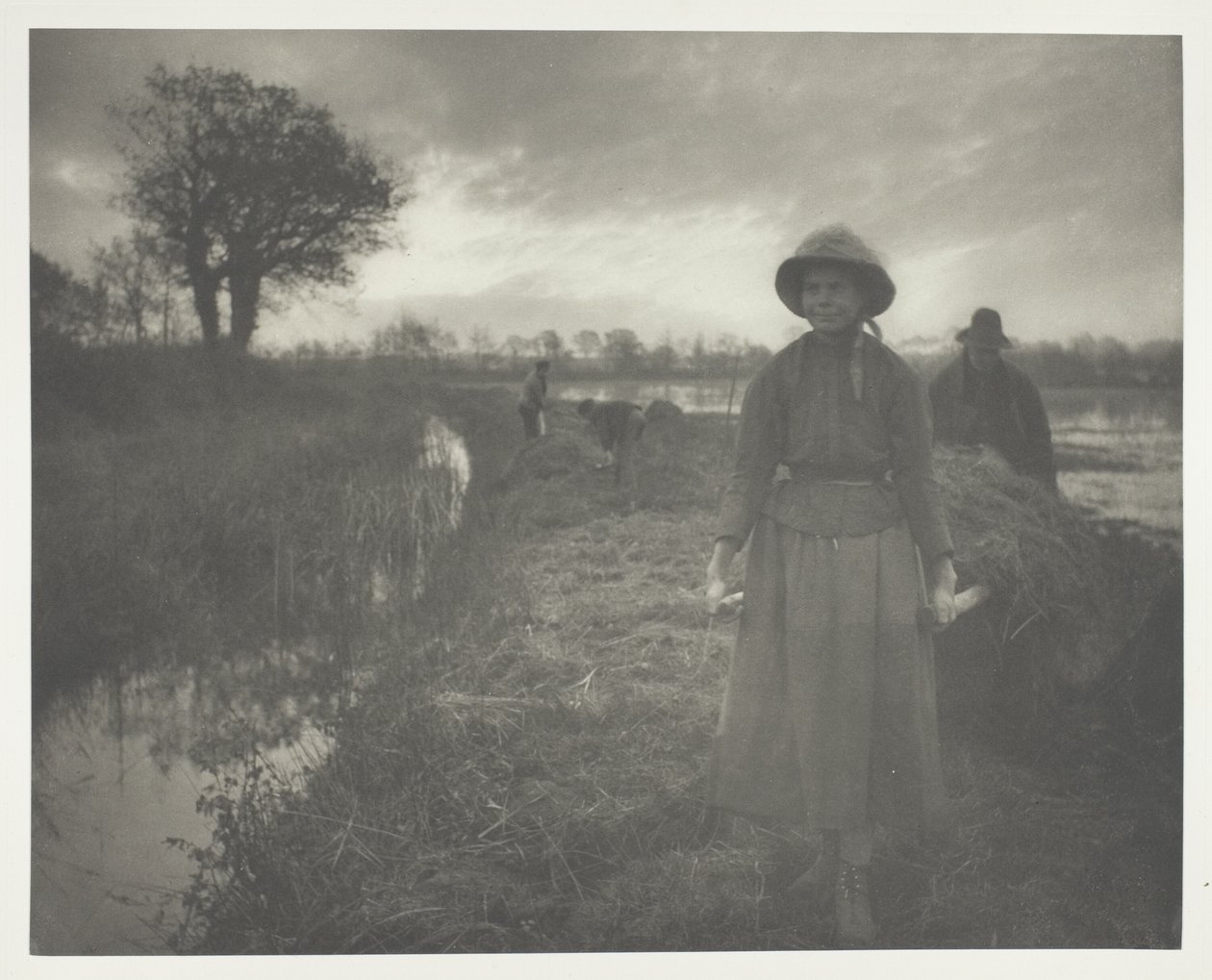 Suoheinää tekijältä Peter Henry Emerson