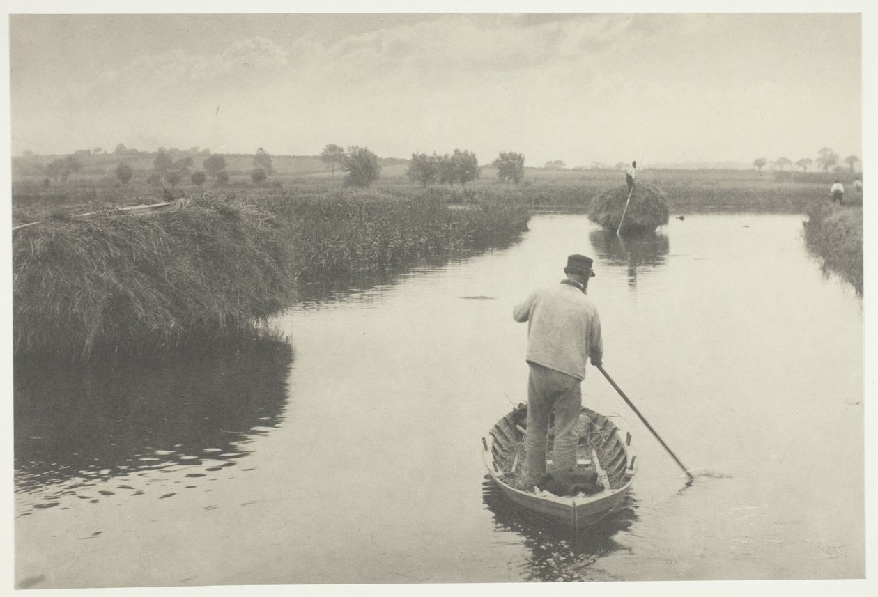 Suon heinän määrällinen arviointi tekijältä Peter Henry Emerson