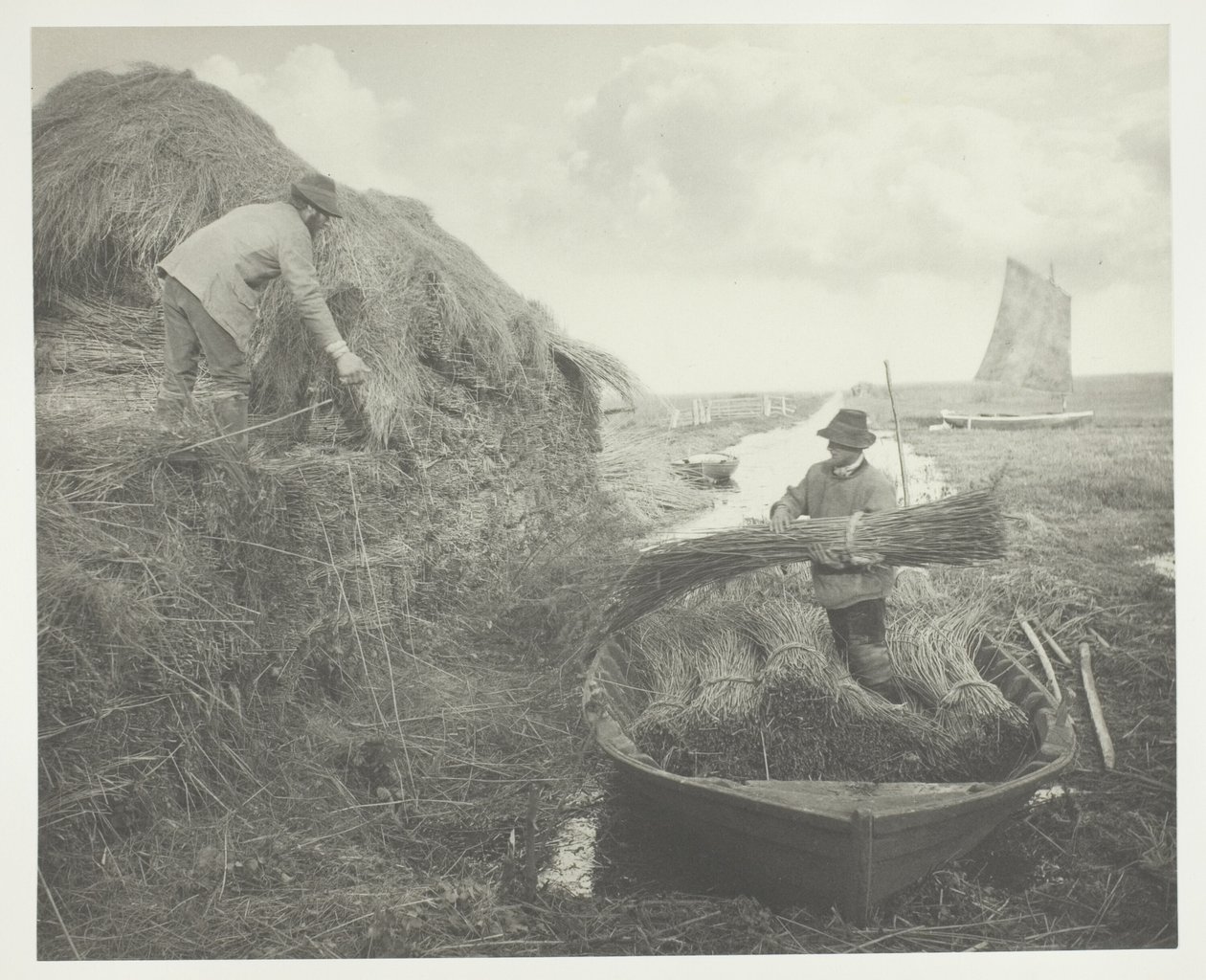 Ricking the Reed tekijältä Peter Henry Emerson