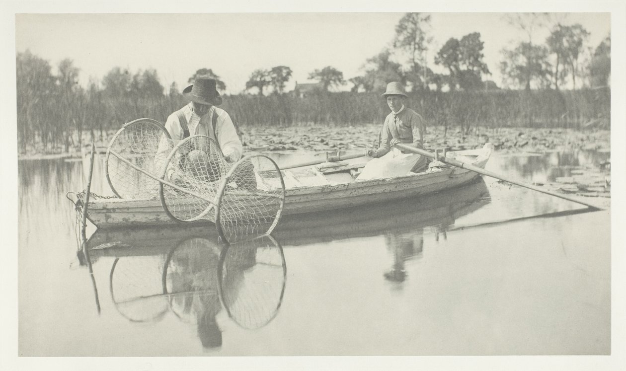 Keulaverkon asettaminen tekijältä Peter Henry Emerson
