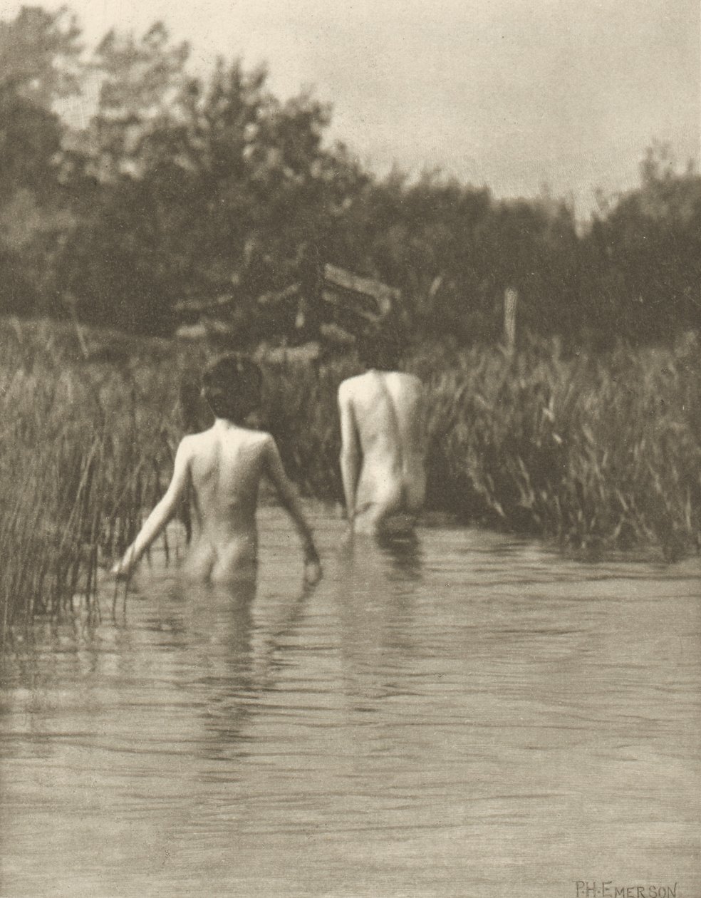 Vesi-vauvat tekijältä Peter Henry Emerson