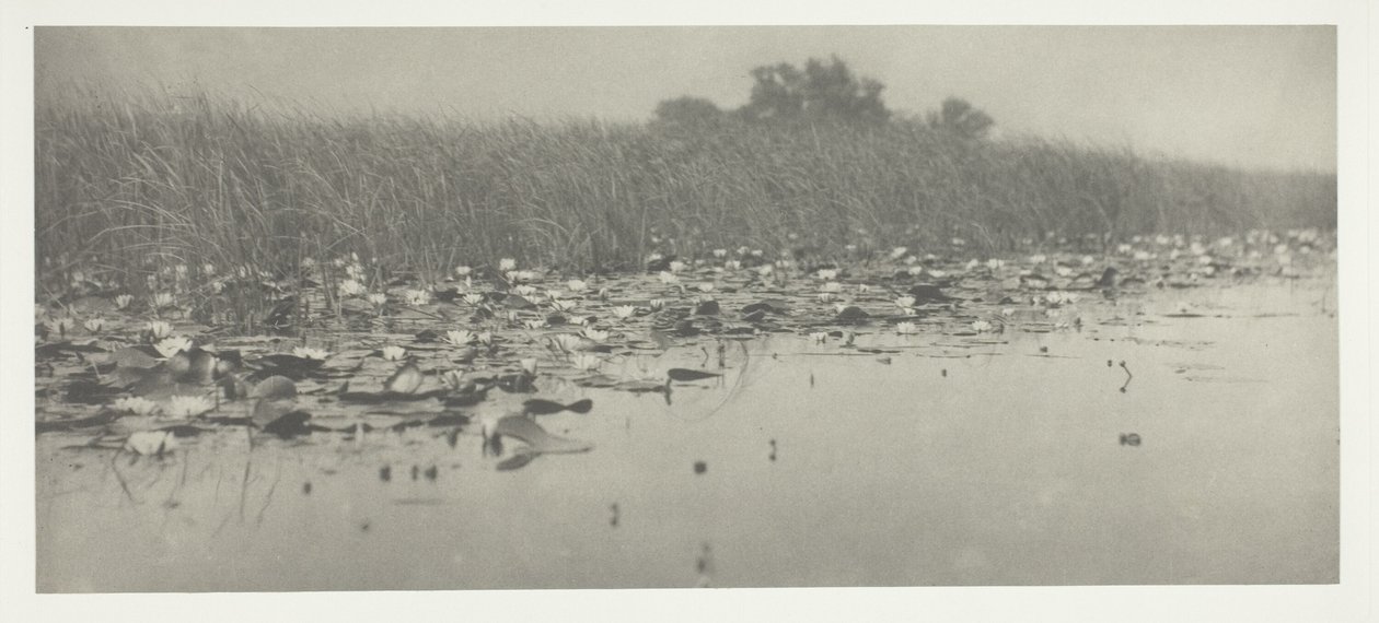 Vesililjat tekijältä Peter Henry Emerson