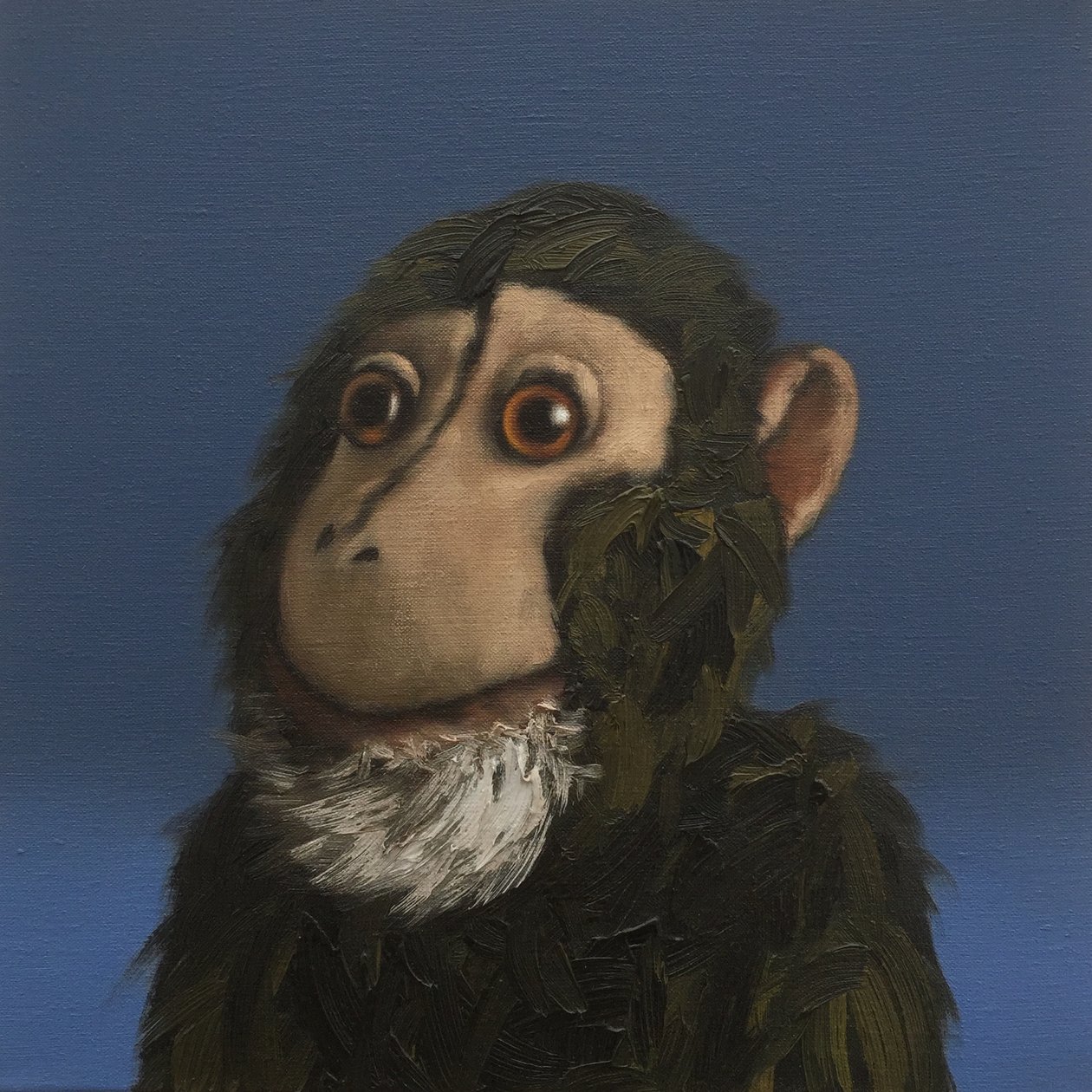 Andy Monkey, 2017 tekijältä Peter Jones