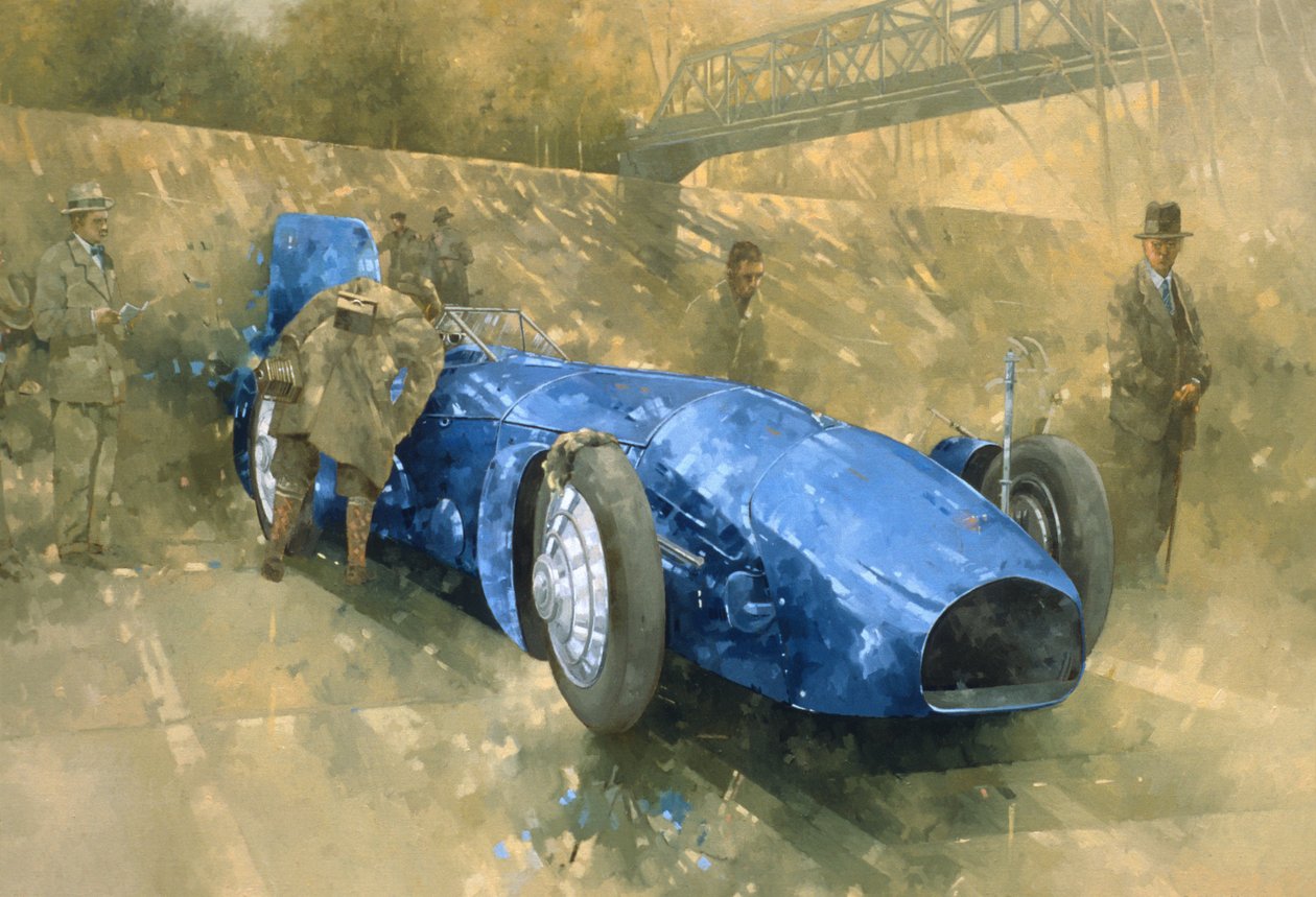 Bluebird at Brooklands (öljy kankaalle) tekijältä Peter Miller