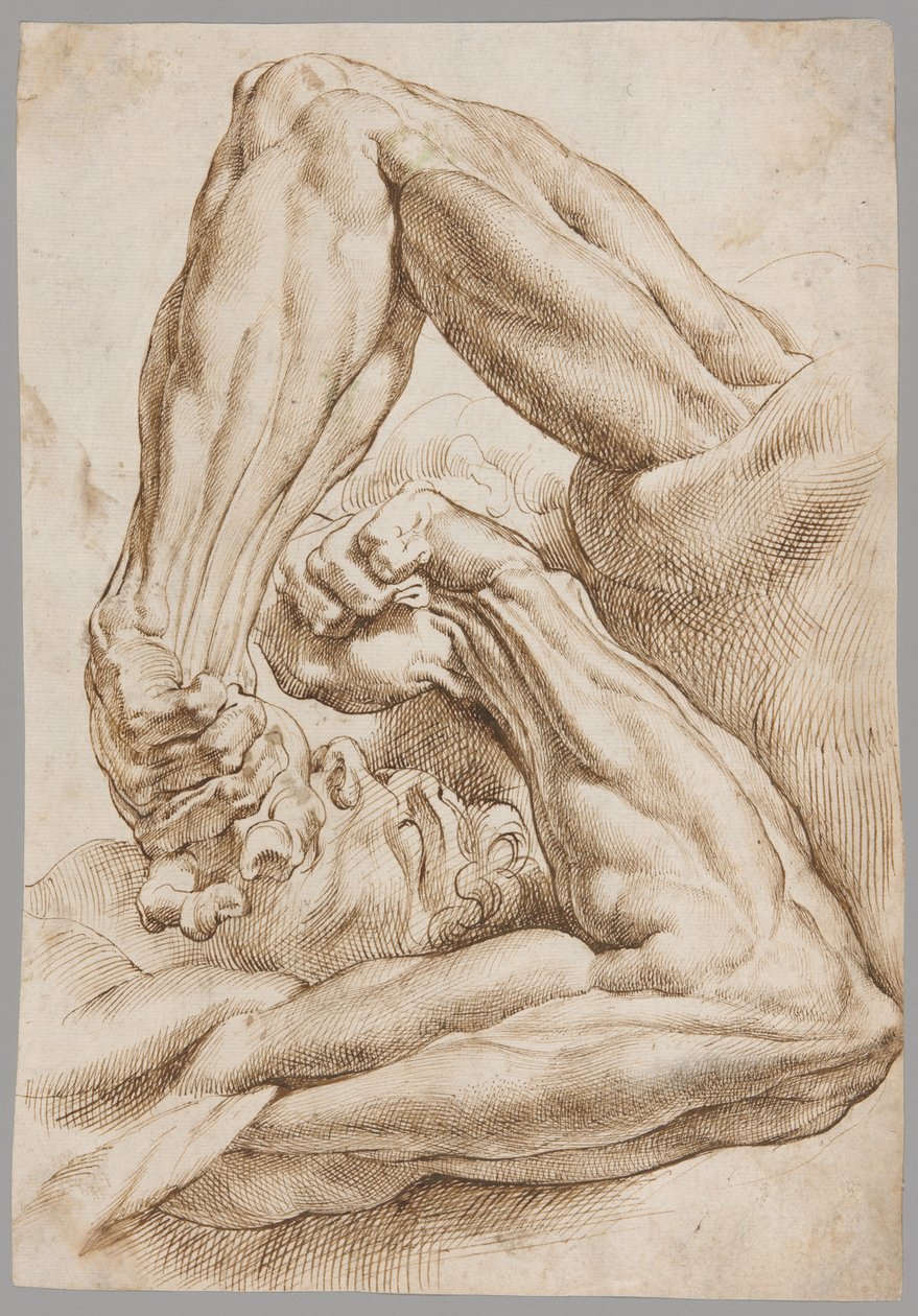 Lehti anatomisista tutkimuksista tekijältä Peter Paul Rubens