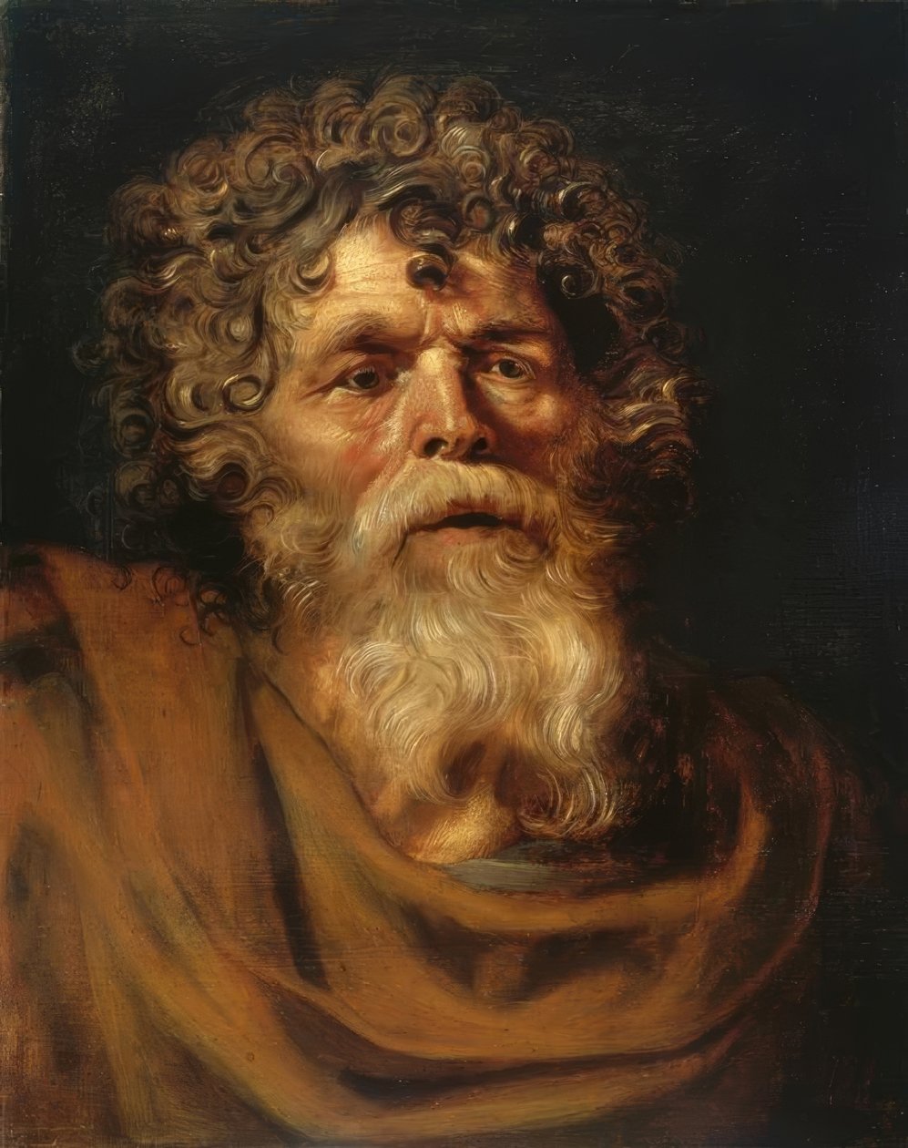Bildnis eines bärtigen alten Mannes tekijältä Peter Paul Rubens