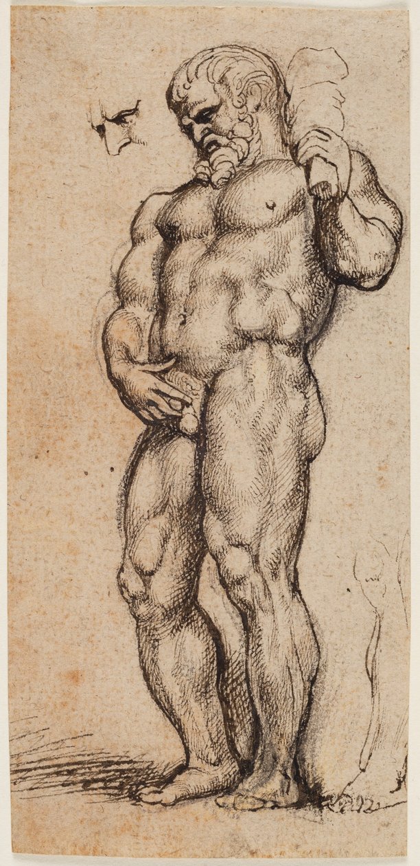 Hercules tekijältä Peter Paul Rubens