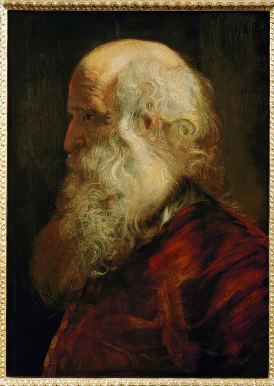 Vanhan miehen tutkimuspää tekijältä Peter Paul Rubens