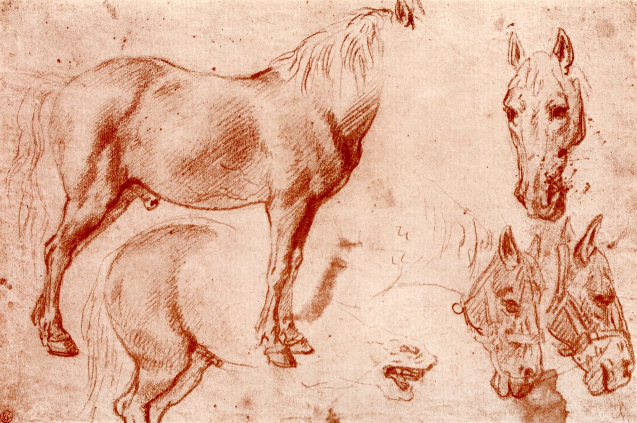 Hevostutkimukset, 1913. tekijältä Peter Paul Rubens