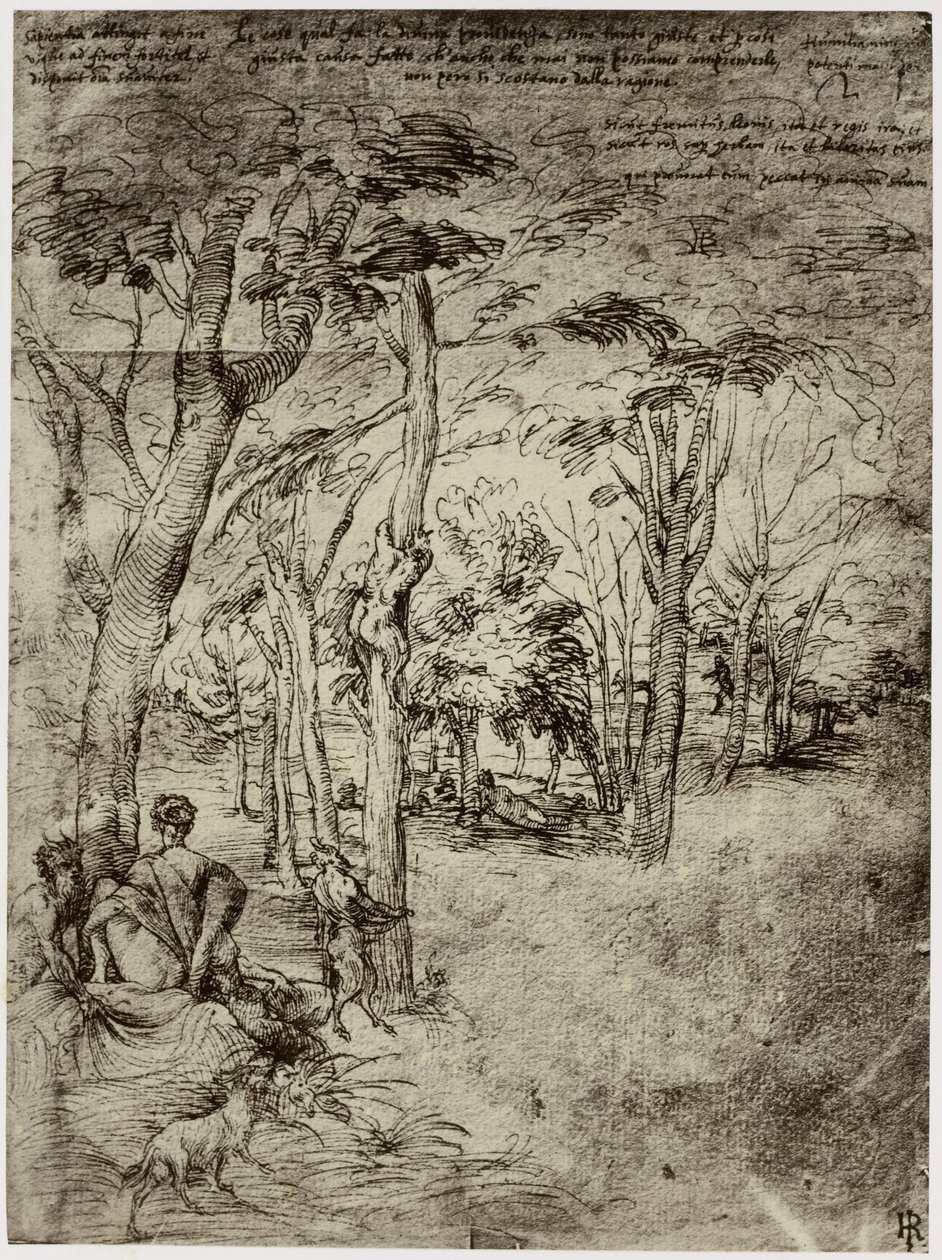 Titiaan, Design for a Picture tekijältä Philip Henry Delamotte