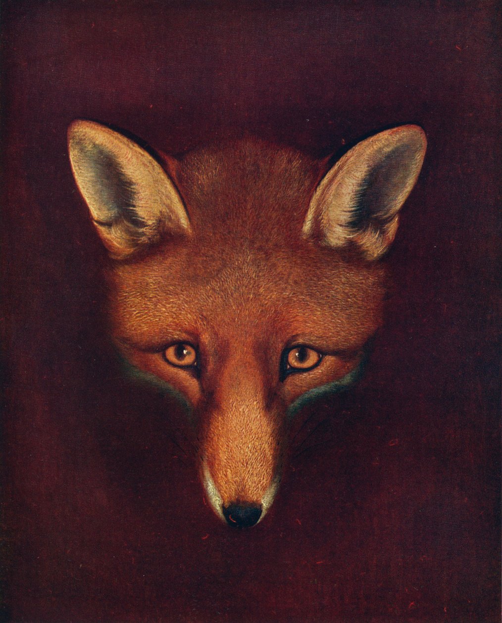 Renard the Fox, c1800, 1922 tekijältä Philip Reinagle