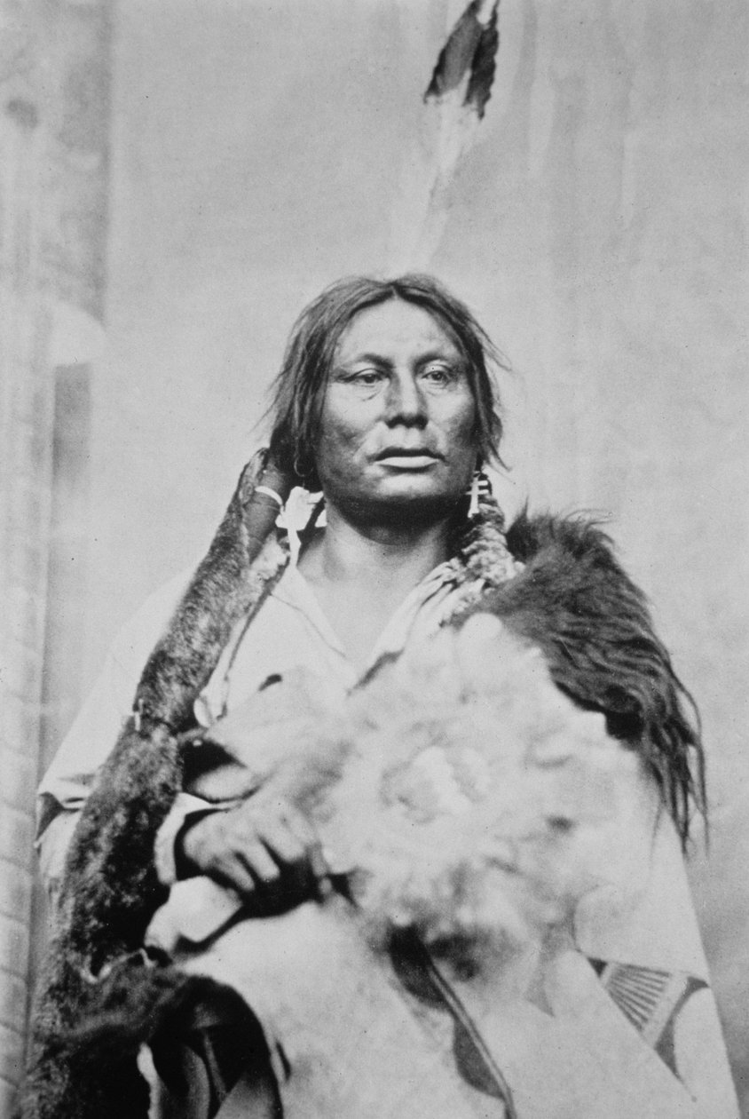 Chief Gall (n. 1840-1894) (m/w kuva) tekijältä Photographer American