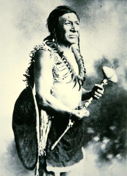 Valkoinen joutsen, soturi (m/w kuva) tekijältä Photographer American