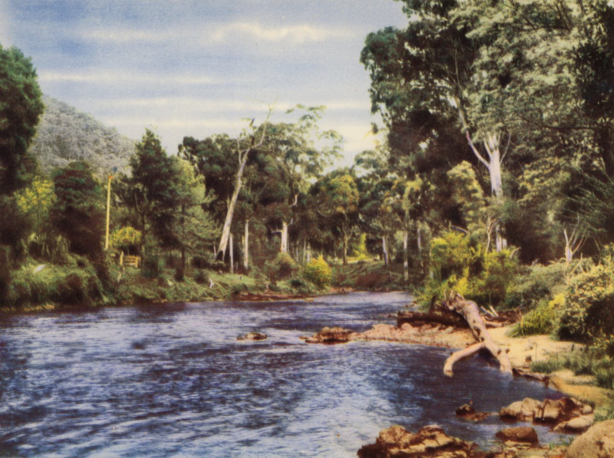 Yarra River (värikuva) tekijältä Photographer Australian