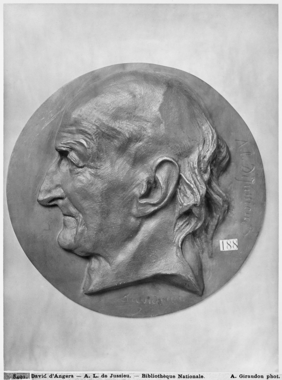 Antoine Laurent de Jussieu (pronssi) tekijältä Pierre Jean David d