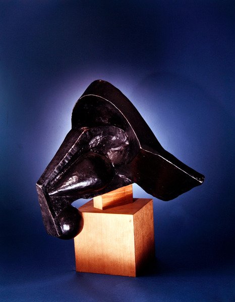 Hevosen pää tekijältä Pierre Maurice Raymond Duchamp Villon