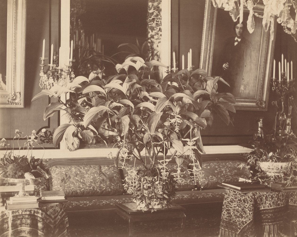 Sisätilat,1860-luku (kuva) tekijältä Pierre Ambroise Richebourg