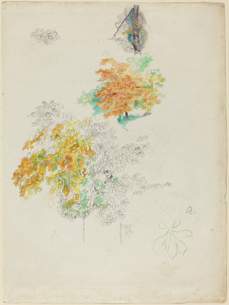 Studies of Trees, 1886. tekijältä Pierre Auguste Renoir