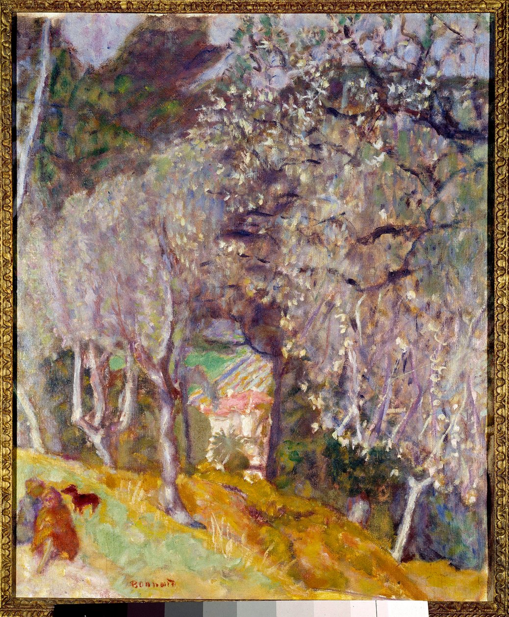 Talo oliiveissa tekijältä Pierre Bonnard