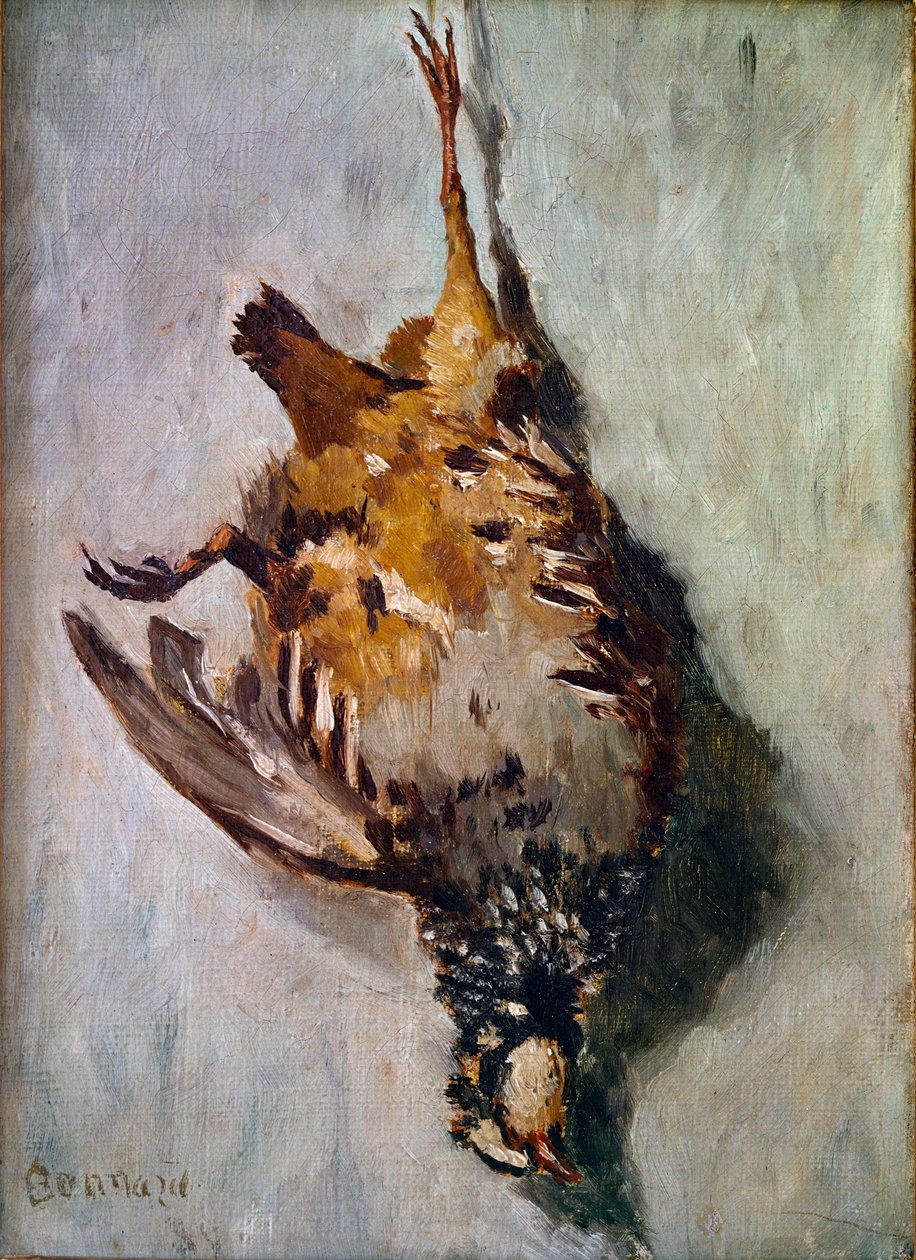 Punainen pelto tekijältä Pierre Bonnard