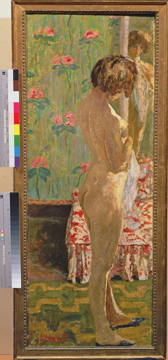 Pysyvä nainen alaston tekijältä Pierre Bonnard