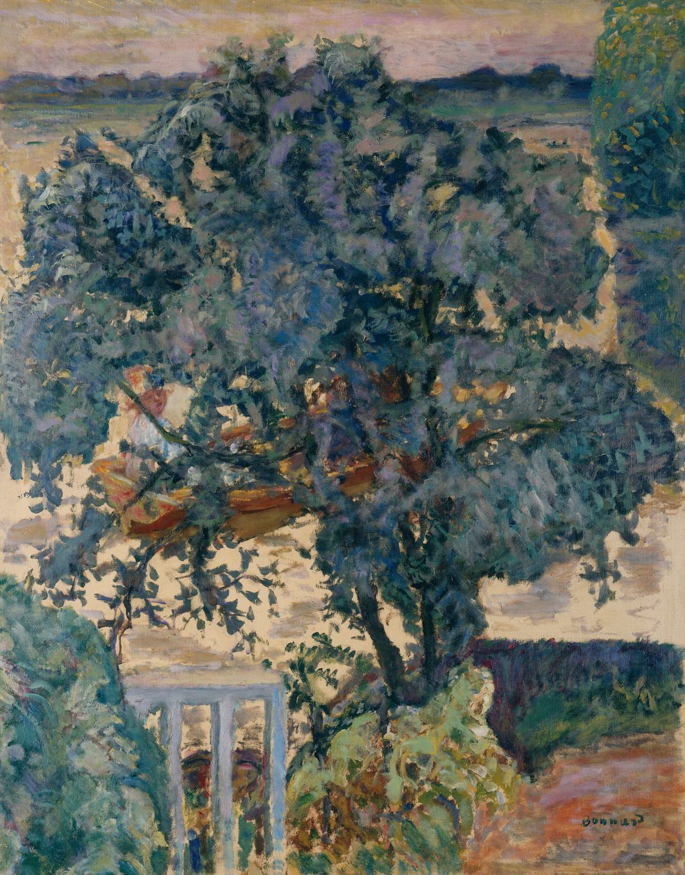 Puu joen rannalla tekijältä Pierre Bonnard