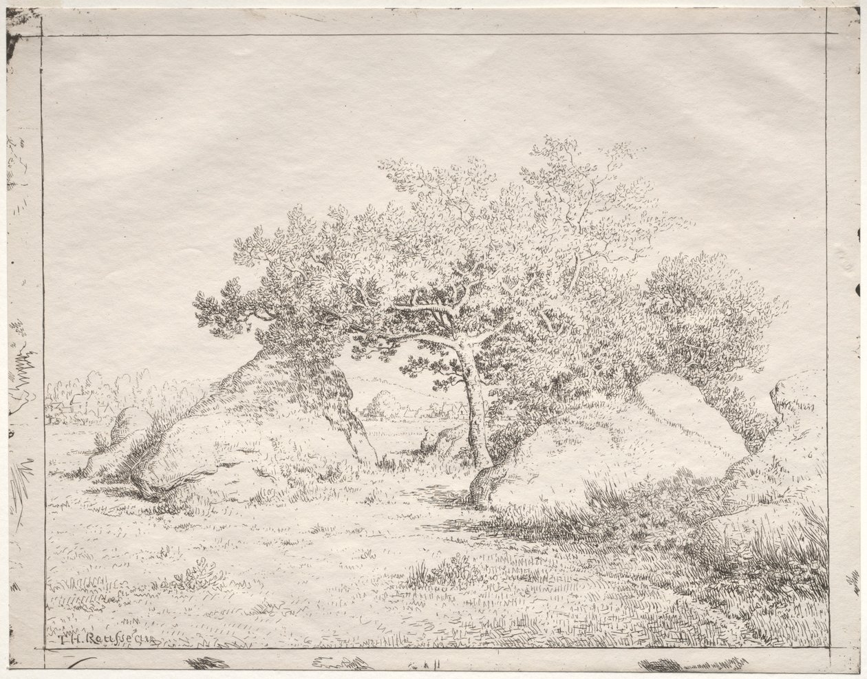 Kirsikkapuu Blaussa. tekijältä Pierre Etienne Theodore Rousseau