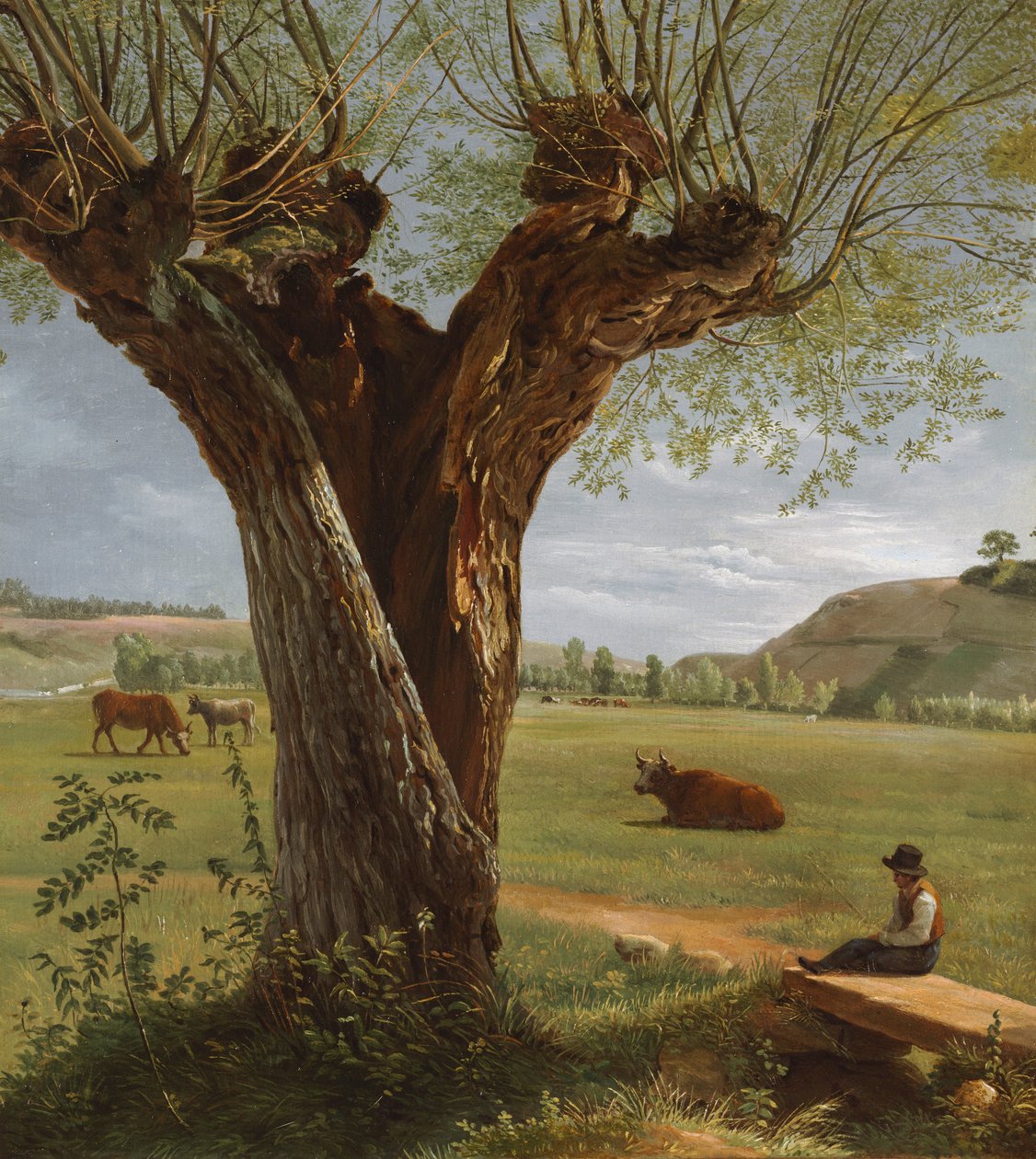 Pollard Willow, vuoden 1804 jälkeen. tekijältä Pierre Jean Boquet