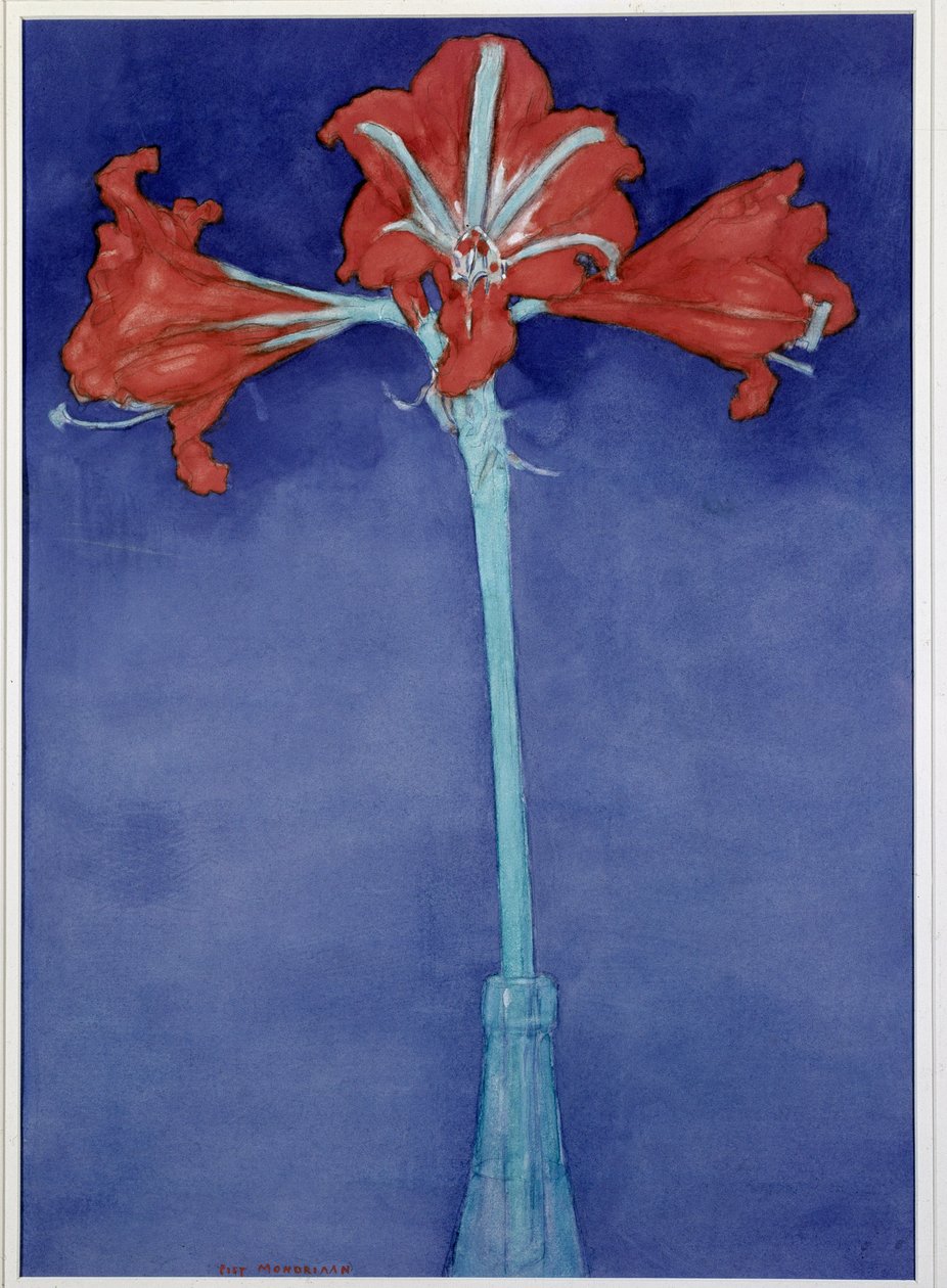 Amaryllis tekijältä Piet Mondrian