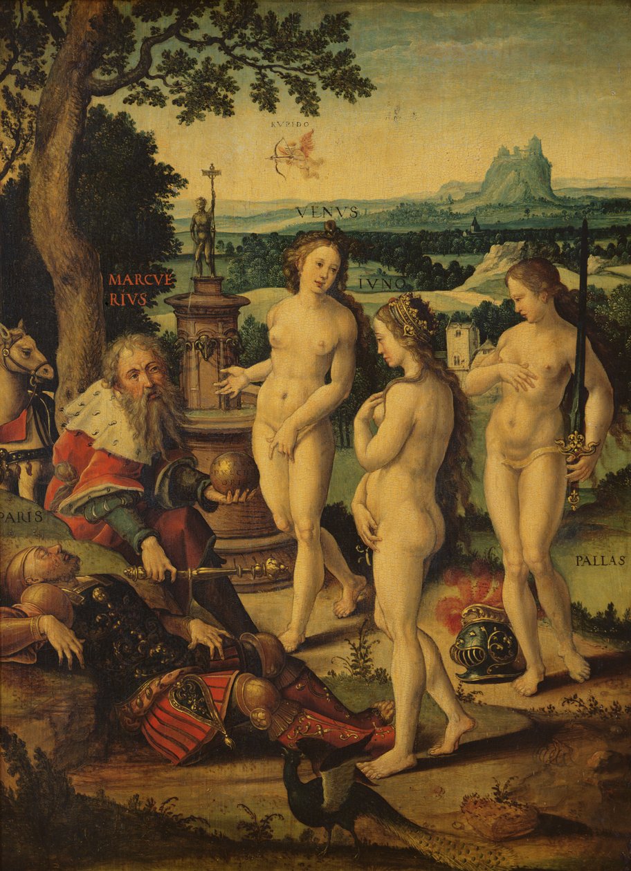 Pariisin unelma tekijältä Pieter Coecke van Aelst