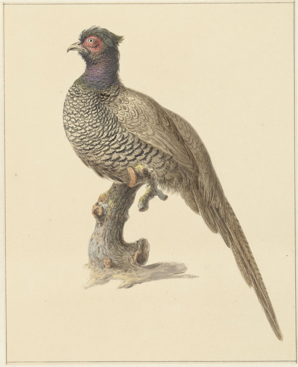  Translation types Text translation  FRISIAN - DETECTED  ENGLISH  SPANISH  FRENCH  FINNISH  POLISH  DANISH Source text Jachtfazant Jachtfazant 11 / 5,000 Translation results Metsästys fasaani More about this source textSource text required for additional t tekijältä Pieter Pietersz. Barbiers