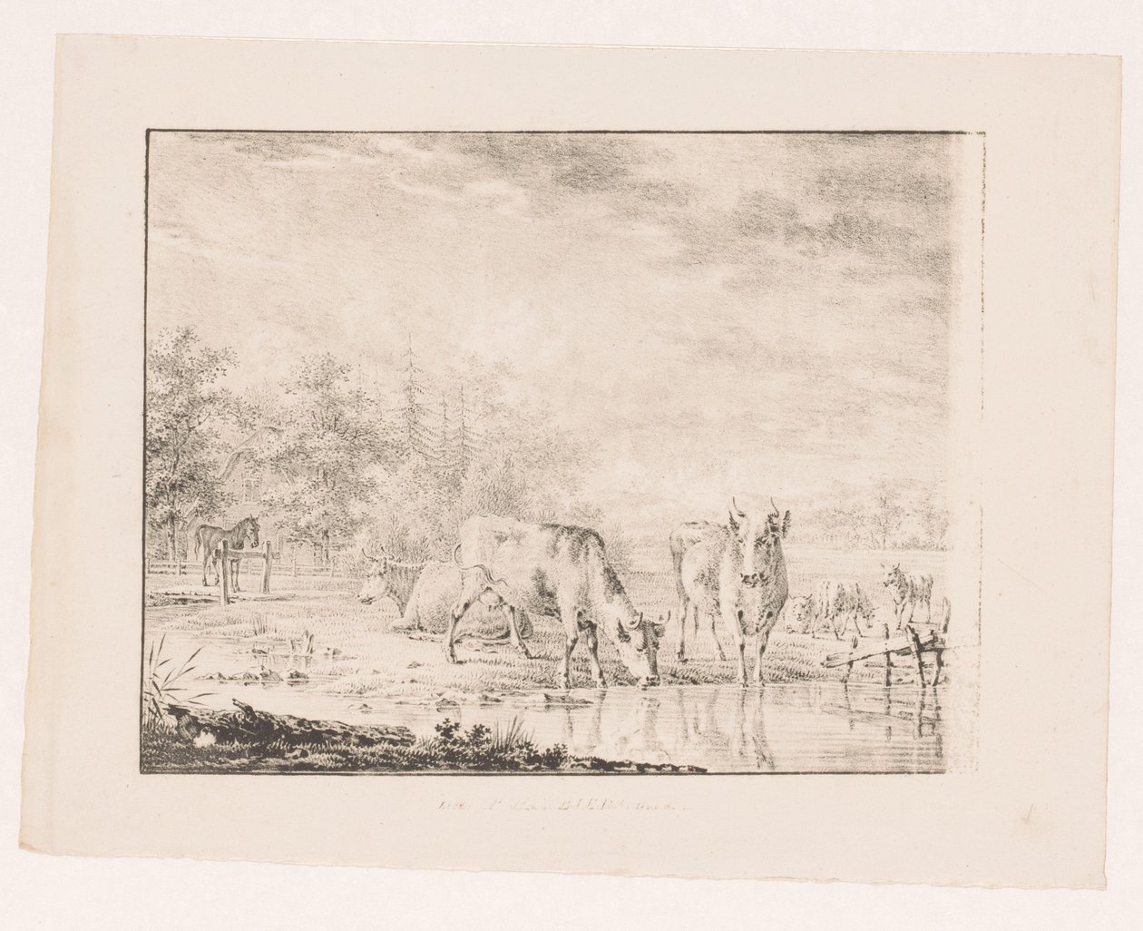 Lehmiä veden äärellä tekijältä Pieter de Goeje (attributed to)