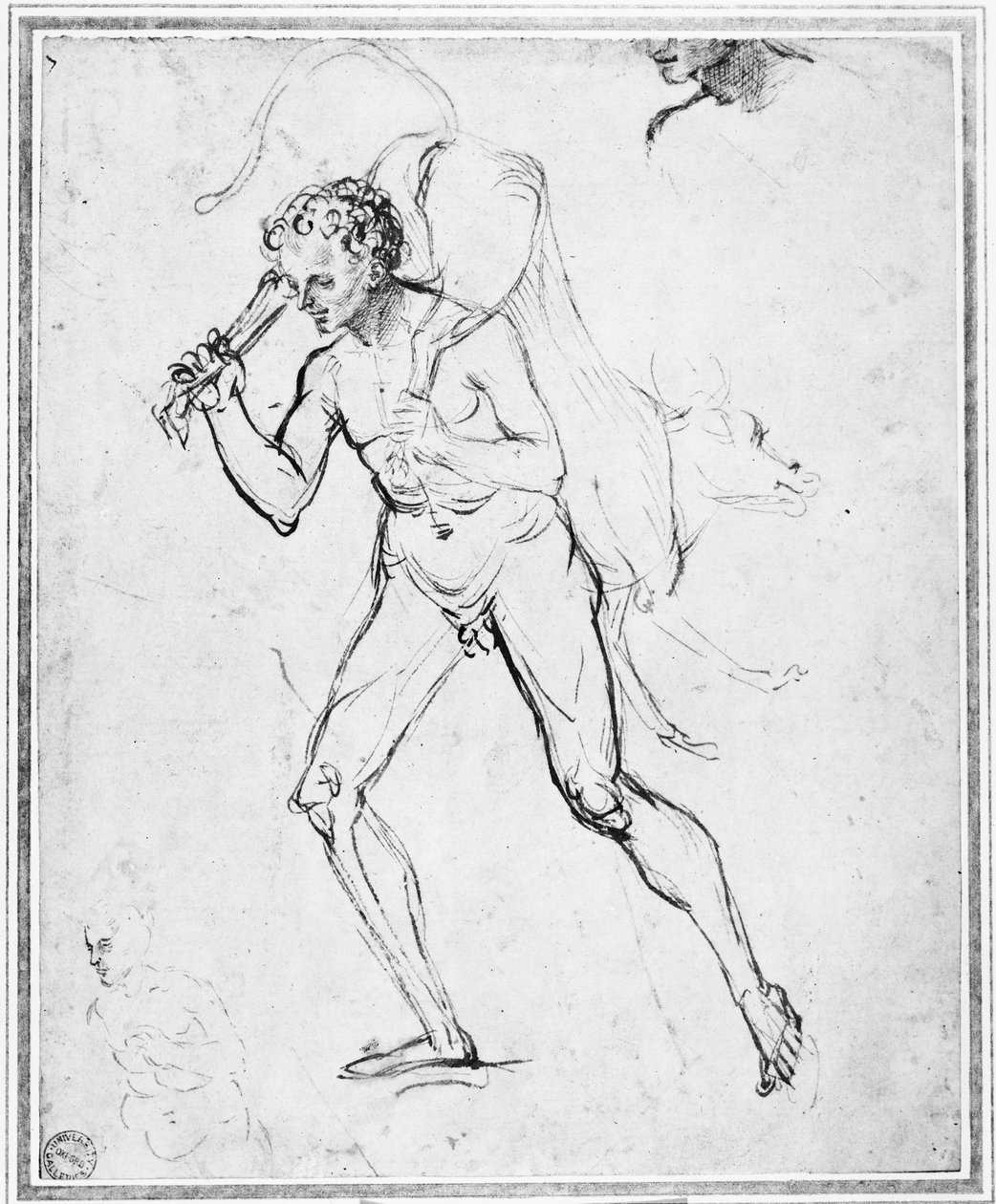 Milon of Croton, WA1846.9 tekijältä Pietro Perugino